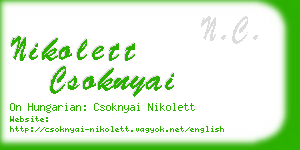nikolett csoknyai business card
